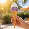 Boîte de 15 cornets à glace - 1 boule