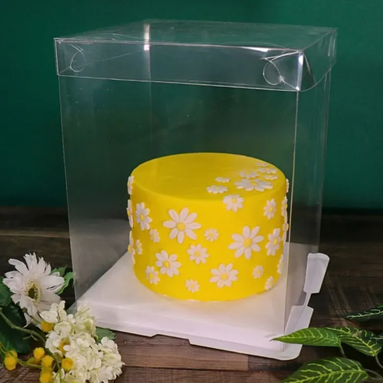 Boîte à gâteau carrée vitrine transparente haute