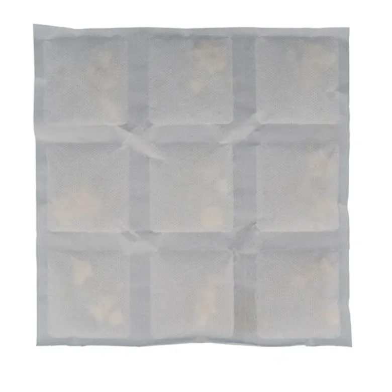 Boîte à gâteau isotherme + accumulateur de froid