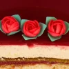 Boutons de rose rouge (x15)