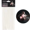 Bâtons à Cake Pops 16 cm (+/-35)