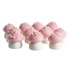Champignons roses comestibles 20 g