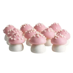 Champignons roses comestibles 20 g