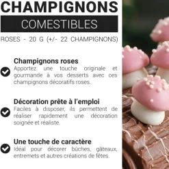 Champignons roses comestibles 20 g