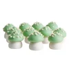 Champignons verts comestibles 20 g