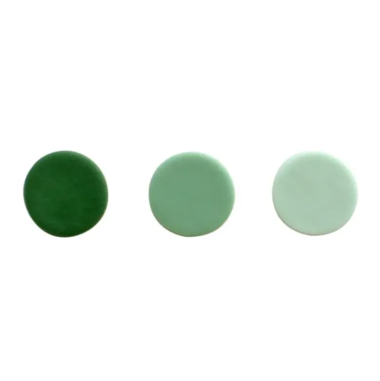 Colorant alimentaire naturel vert sapin PME
