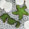 Colorant en poudre irisé vert anis - 5 g