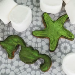 Colorant en poudre irisé vert anis - 5 g