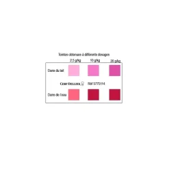 Colorant poudre alimentaire Rouge Cerise 100 g