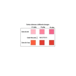 Colorant poudre alimentaire Rouge Fraise 100 g