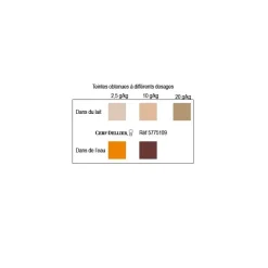 Colorant poudre alimentaire Caramel 100 g