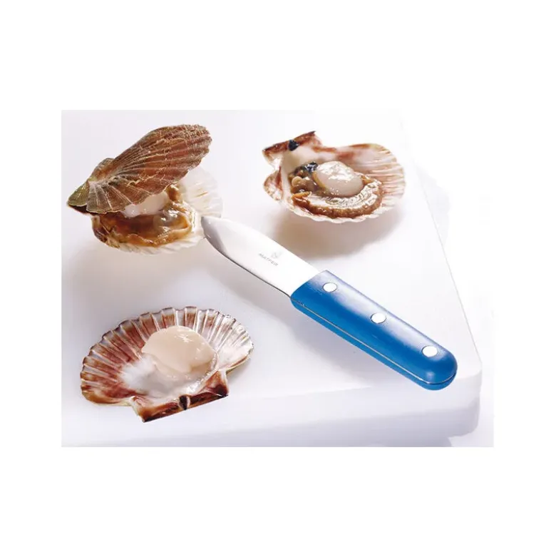 couteau à coquille Saint Jacques bleu