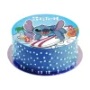 Disque azyme Stitch surf 20 cm