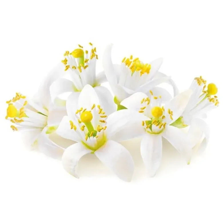 Extrait de fleur d'oranger - 50 ml