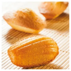 Flexipan 60x40 plaque de 40 madeleines 7.8x4.7 cm
