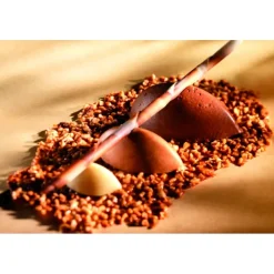 Flexipan 60x40 plaque de 100 petites quenelles 4.4x2.2x1.7cm