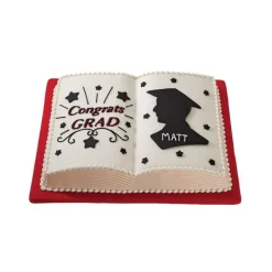 Grand moule à gâteau