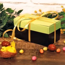 Kit ballotin à chocolats bicolore vert anis et noir