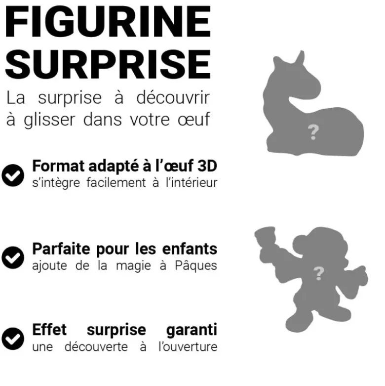 Kit œuf surprise maison