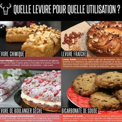 Levure sèche instantanée Saf-Instant 125 g