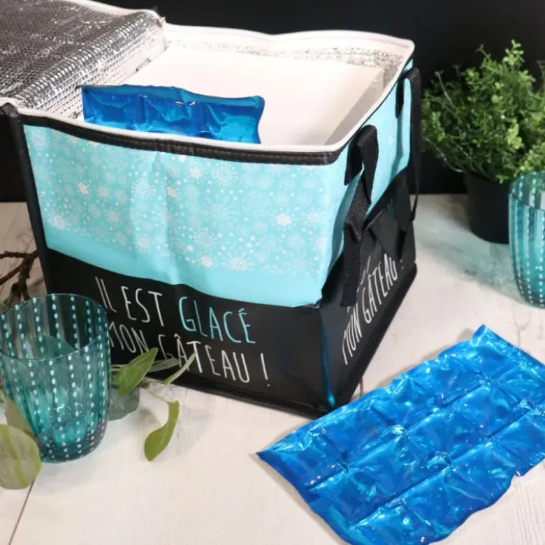 Lot de 2 accumulateurs de froid - 14,5 x 24,5 cm