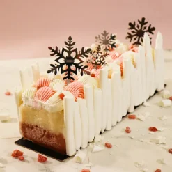 Moule à bûche carré inox 30 x 9 cm