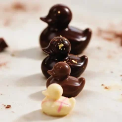 Moule chocolat canards assortis