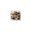 Moule chocolat carpes koï