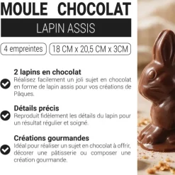 Moule chocolat lapin assis