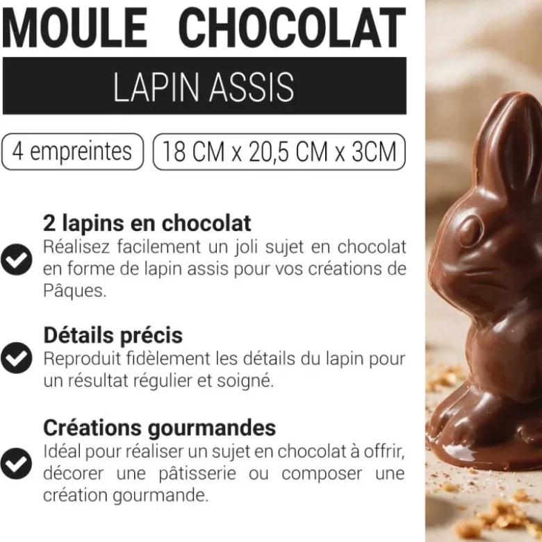 Moule chocolat lapin assis