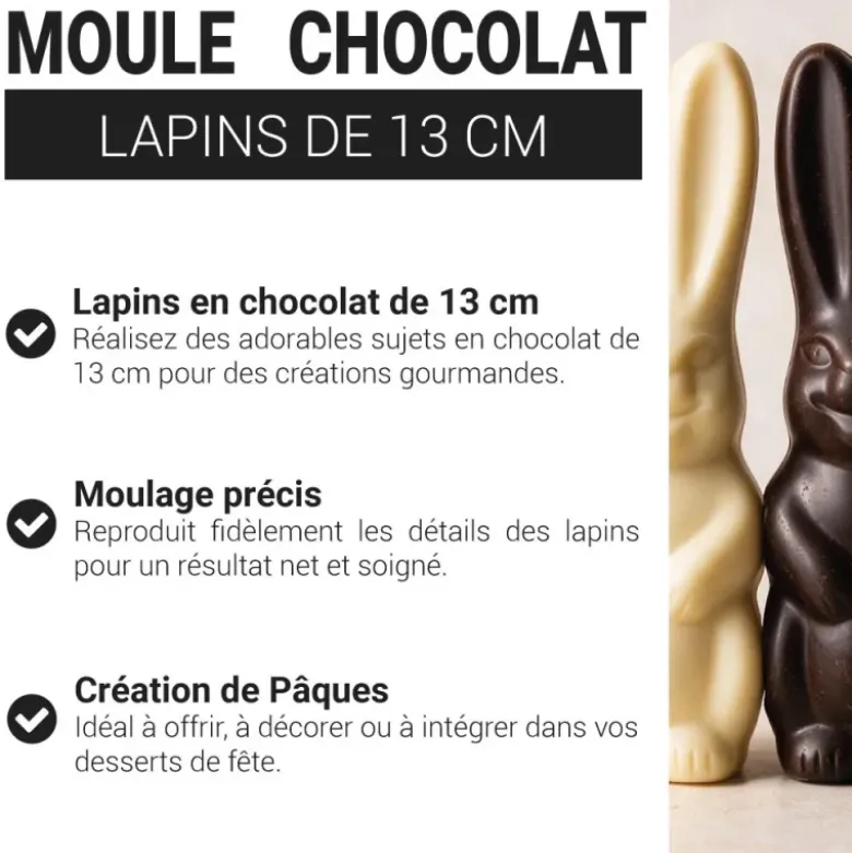Moule chocolat lapins 13 cm