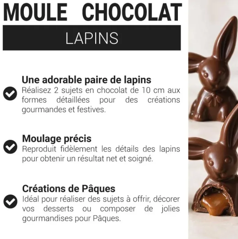 Moule chocolat 2 lapins oreilles 10 cm