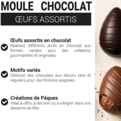 Moule chocolat oeufs assortis
