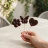Moule Chocolat Sucettes Papillons