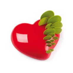 Moule en silicone coeur Passion Pavoni
