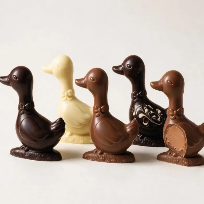 Moules chocolat Oie 16 cm