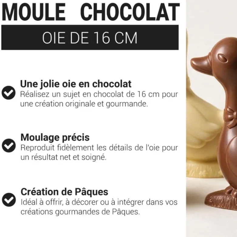 Moules chocolat Oie 16 cm