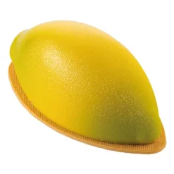 Moule silicone Citron 3D