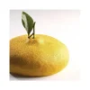 Moule silicone Citron Pavoni