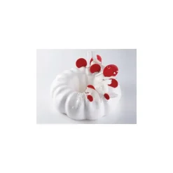 Moule silicone insert pour moules ronds Pavoni