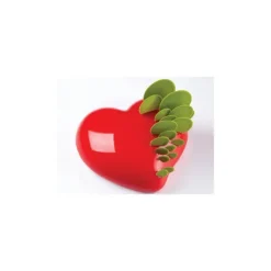 Moule silicone Passion Pavoni