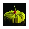 Moule silicone Twister 18 cm Pavoni