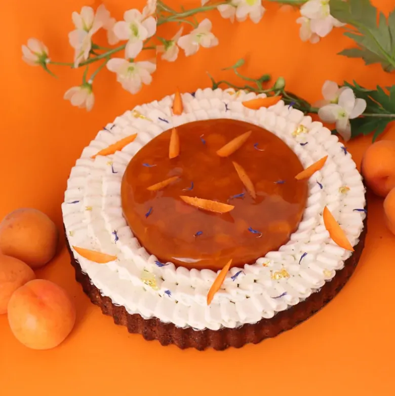Moule à tarte perforé à fond amovible en acier antiadhérent sans PFAS
