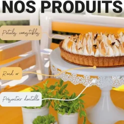 Moule à tarte perforé à fond amovible en acier antiadhérent sans PFAS