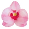 Orchidées roses azyme (x10)