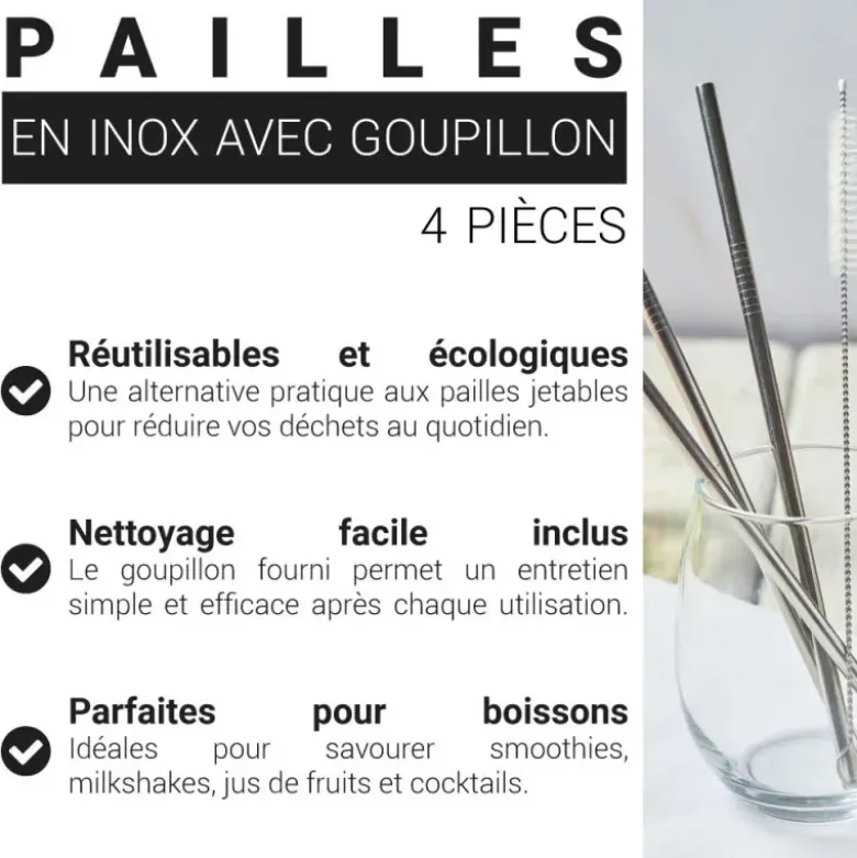 Paille en inox avec goupillon (x4)