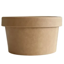 8 pots à glace 150 ml avec couvercle