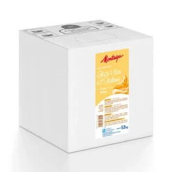 Préparation UHT pour glace à l'italienne - saveur mangue - 5,5 kg