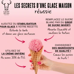 Stabilisateur pour glace 1 kg